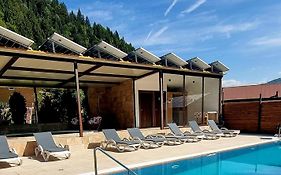 Pensiunea El Monte SPA
